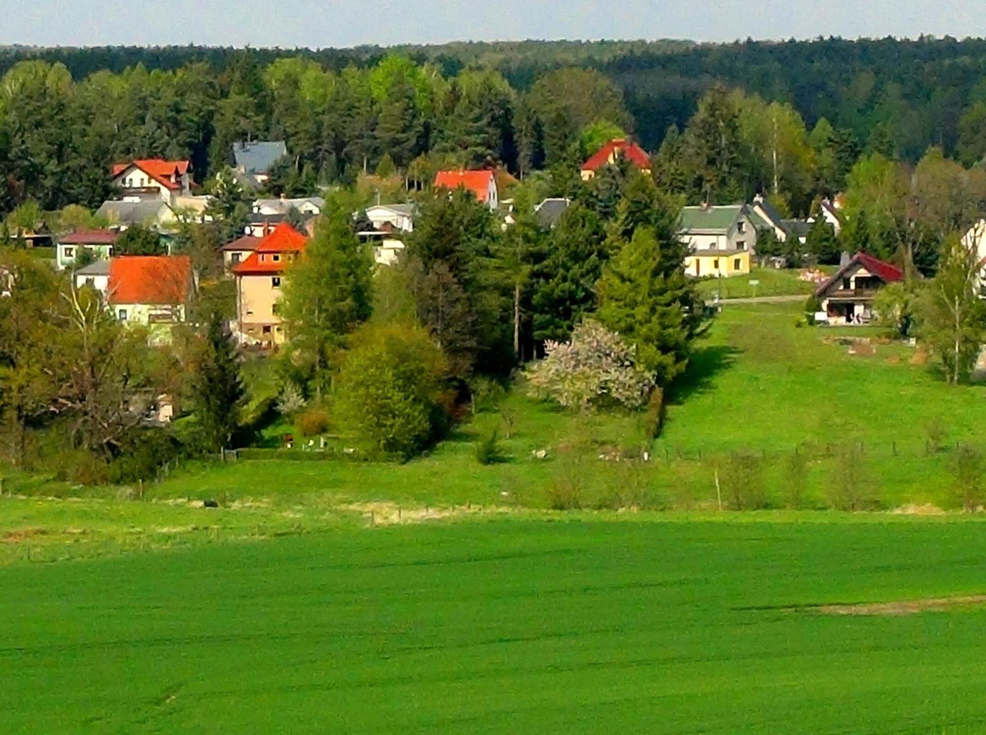 Ferienwohnung Deutschmann Dahlen Екстер'єр фото